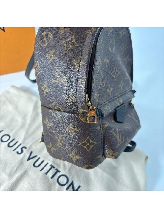 Louis Vuitton Palm Springs Mini Backpack Monogram main image 8